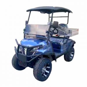 AW2021BK 2-местный электромобиль с грузовой платформой